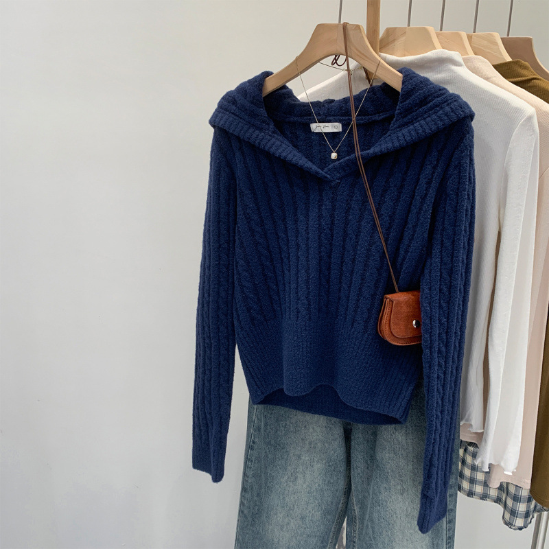 Brand Discount High-End Twist Hooded Sweater Jacket for Women 2025 Autumn New Soft Waxy Pullover Knitted Hoodie