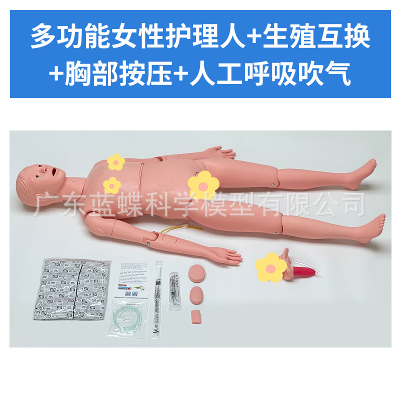 Ů�Ի�����ģ�� �������������ϻ�����ѵ ��ɩ����ʦ�̾߻���ģ��