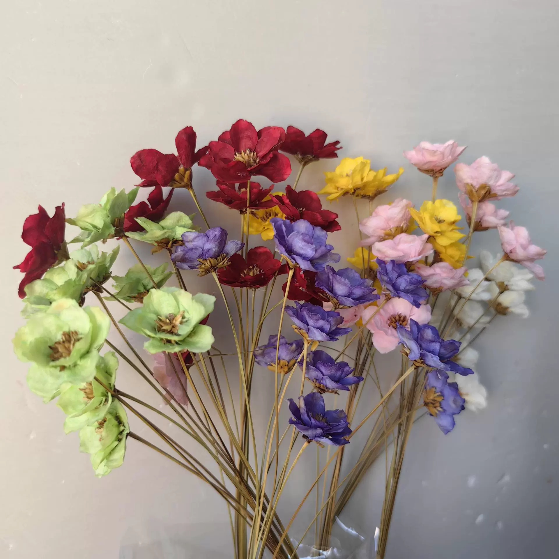 手工花干花铃铛花永生花银铃花家居装饰插瓶摆件天然干花
