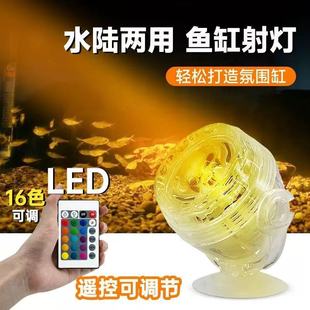 led�~�ן���ˮ�����ˮˮ����b���߲�ˮ�ݟ�С�����������쾰ҹ