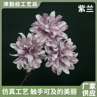 ��Y���滨���m�� ��c�廨�òĻ�Y��ܛ�b�쾰��ˇ�������üٻ�