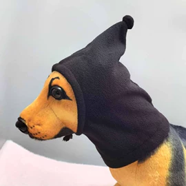 宠物帽子;宠物项圈;猫砂铲