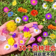 ļҰMϻNl^˹ջܷNӰղݸɣN