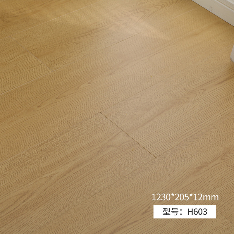 H603 E0급 초방연 다리미 [두께 12mm] 물류 및 무료 부속품 포함