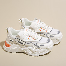 2025¿insnϵЬŮЬW\ЬܲeЬ K805