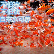 С�͵�ˮ�^�p�~�ͻ���B��ˮ���~�^�p�~���~���~��С�~�t���\��