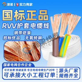 全球热销RVV护套线2/3/4芯2.5/4/6平方电线国标铜芯电源线电缆线