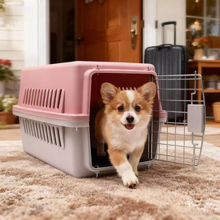 Pet Air Case Large Cats for Dogs Outbound Cage Removable Cats Small Dogs Portable Luggage