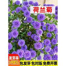 ���m�շN�����һ��Ѳ��N�������ͺ�ͥԺ���^�����G���N��