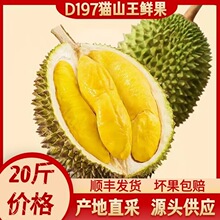 马来西亚猫山王d197榴莲新鲜水果带壳整果整个原产地原装源头批发