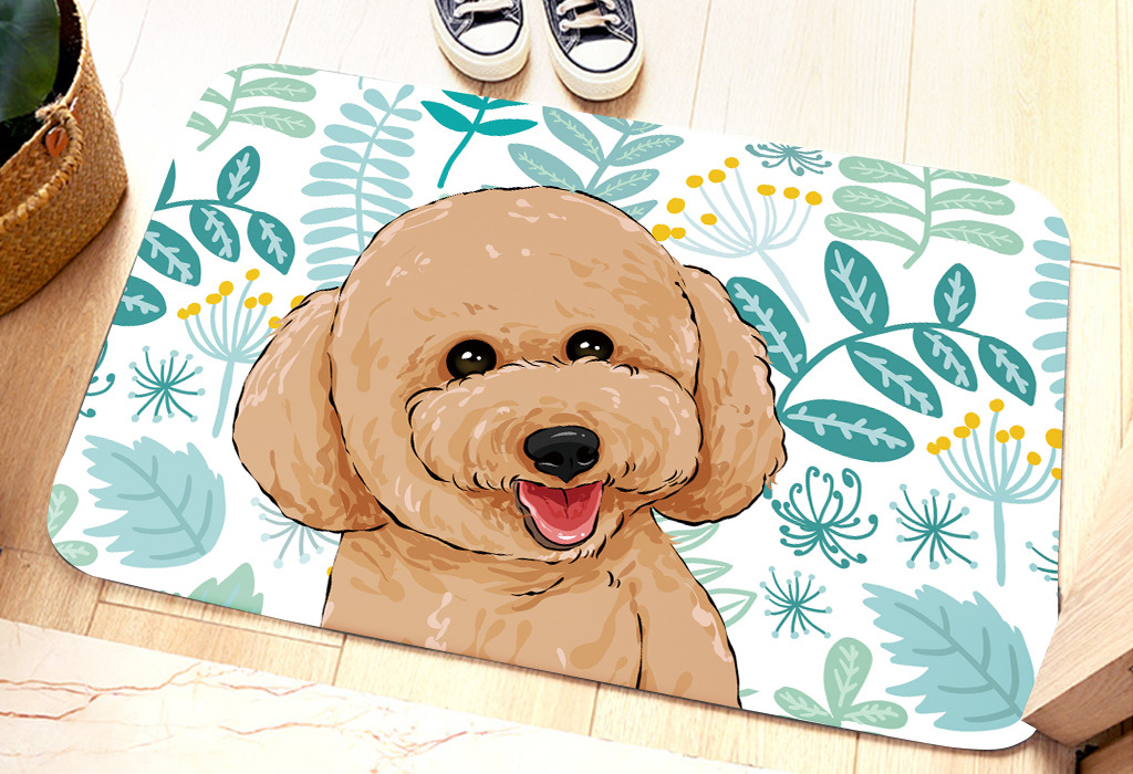 Pet Thickened Floor Mat Entry Cartoon Absorbent Door Mat Kitchen Woven Bathroom Non-Slip Mat Children's Climbing Mat