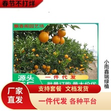 ��Ҋ��ҰҸ̘���޽ӹ���������Ә��紺Ҋ���θ̘��紺Ҋ����