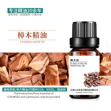 樟脑油 香樟木油 植物提取单方精油  日化原料批发 10ml拿样