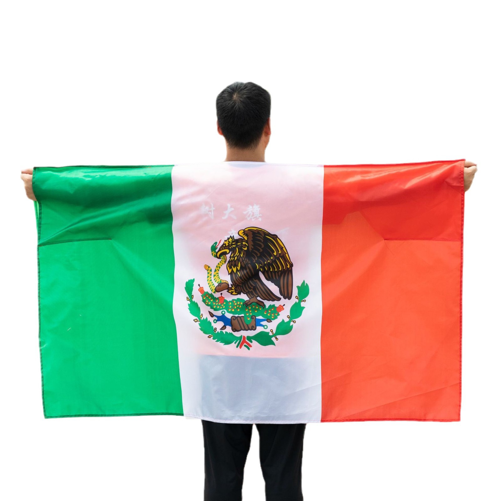 Copa del Mundo Transfronterizos Fan Bandera Band