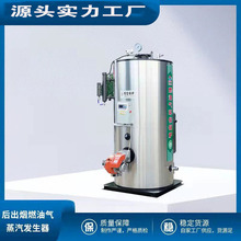 立式生物質蒸汽發生器反應釜燃油燃氣蒸氣發生器發生器 熱水鍋爐