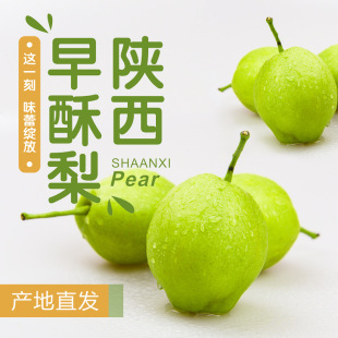 Shaanxi Ранняя хрустящая груша в сезоне Fresh Fruits теперь доступна в голубой коже, Li Fei Crown Pear Crispy Pear