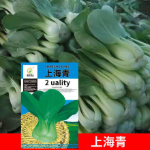 ���l�ˈ@�߲˷N���s���Ϻ��๣��15�������̨Ժ�Ӳ��� �S��ֱ�l