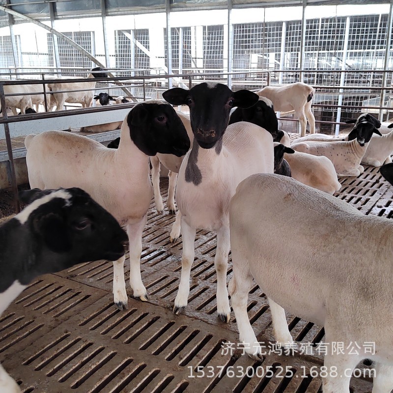 A867D92D758307F8D1DA6E71B8925A