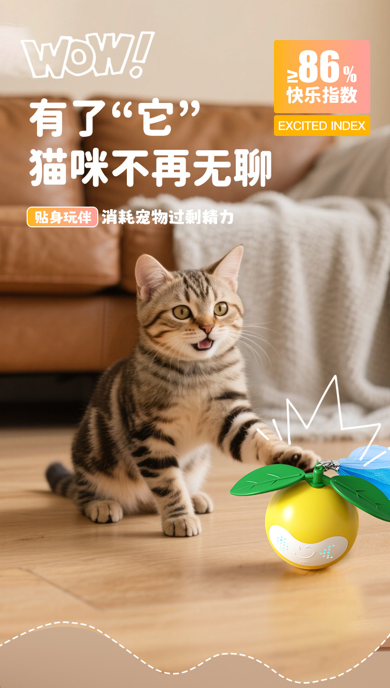 详情页-2_04.jpg