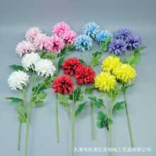 3�^�����շ��滨��Ʒ�|��c��Y�õ��Ż��ļҾ��b羳���u���l