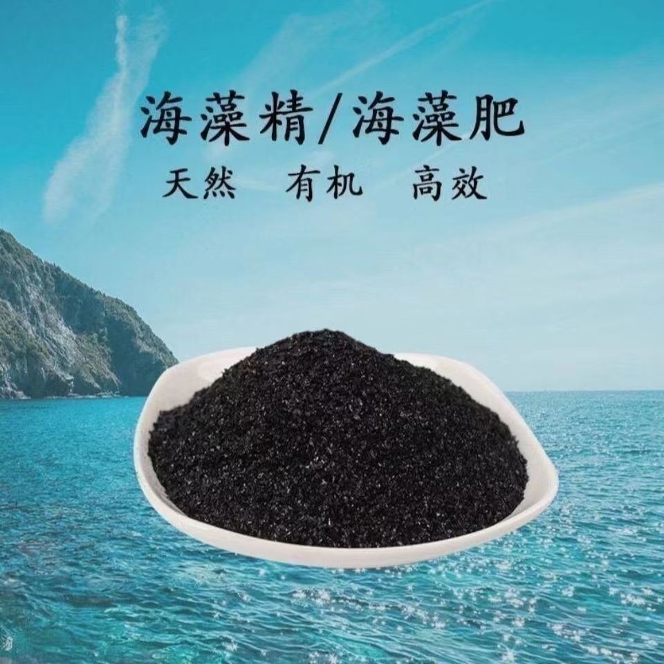 微信图片_20240116152731