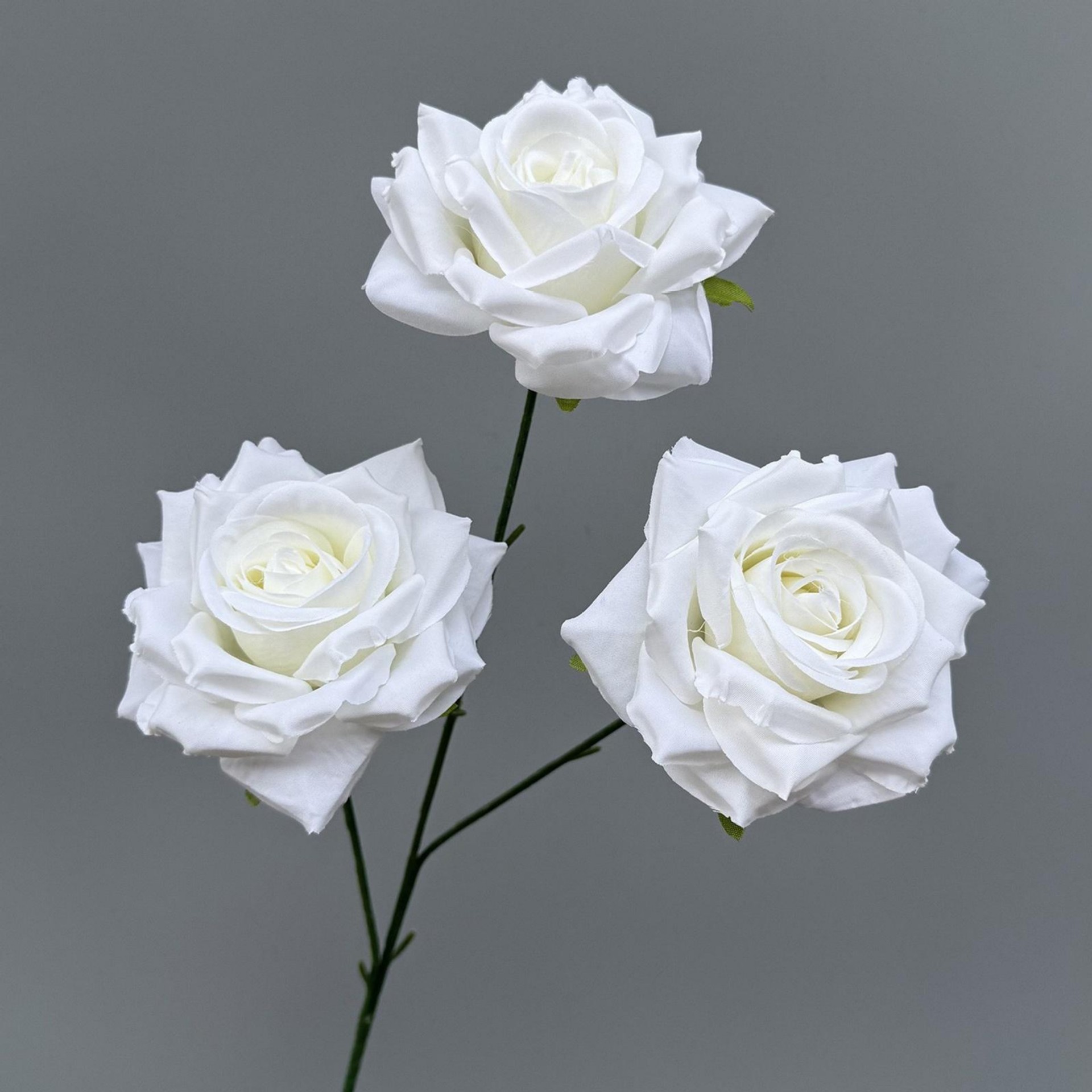 2nd generation three -headed diamond rose white