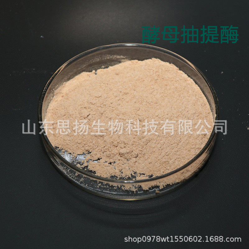 酵母抽提酶30-40万u/g 啤酒面包酵母蛋白破壁酶 酵母水解酶