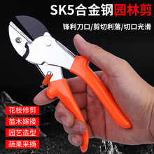 修枝剪园林工具剪刀果树修枝剪花木粗枝盆景修剪省力弹簧果枝剪