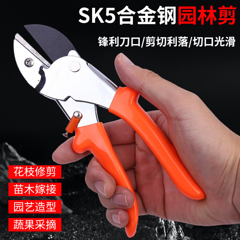修枝剪园林工具剪刀果树修枝剪花木粗枝盆景修剪省力弹簧果枝剪