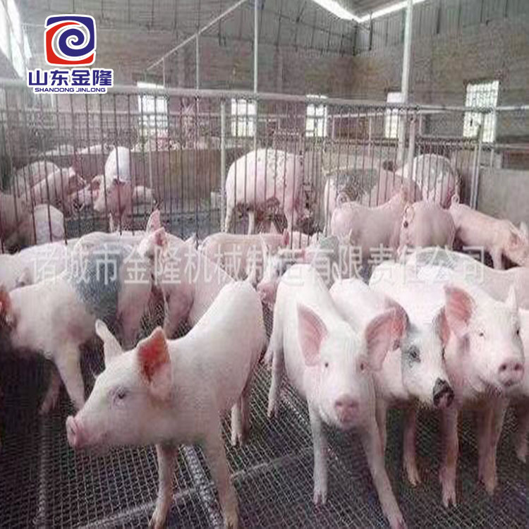 养猪场废水处理设备 叠螺式污泥脱水机 养鸭场污水处理设备