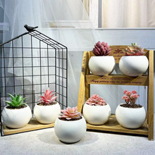 �����������ֲ���b������Gֲ��������ֲ������k���Ҕ[��