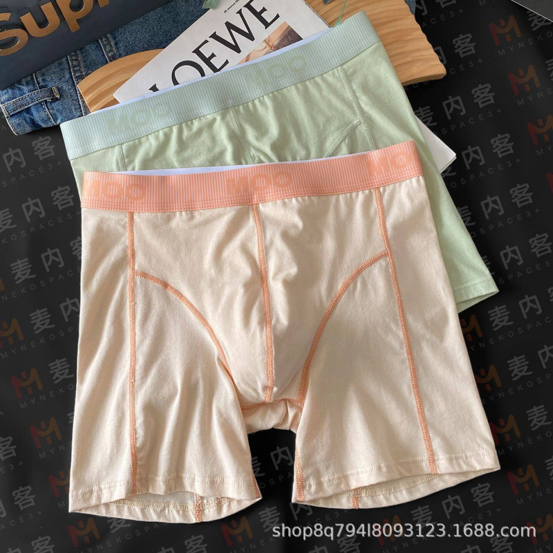 Briefs