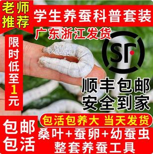 �Q�����Q���Q�ьW���B�Q���b���w�Q�N���Q�ͷ������Zëɣ�~������