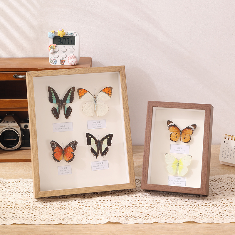 Carefully Selected Hollow Photo Frame Table Handmade DIY Butterfly Insect Specimen Box Stereo Frame Dried Flower Preservation Display Frame Carefully Selected Hollow Photo Frame Table Handmade DIY Butterfly Insect Specimen Box Stereo Frame Dried Flower Preservation Display Frame