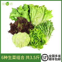 ɳ���߲˽M��3.5�� �����˿�����r����b����ɳ�������pʳ�߲�