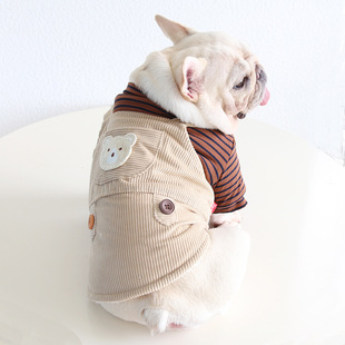 Petstyle ����С���ܱ����l�� �ٴ��ֹ����·�Ӣ���͸�»��ӷƿ�