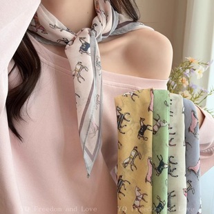 �߼��г��ÿ�С�R�z��Ů2026�¿��R��ϵ�����ǽ��o�i�I���·����