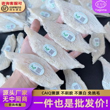 马来印尼进口CAIQ溯源大燕条鲜炖批发孕妇滋补足干雨季燕窝燕盏