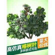 树枝树叶塑料植物红枫叶银杏桦树叶榕树叶榆树叶绿植工程造景
