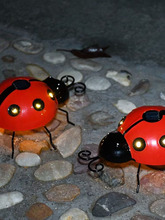 �������xģ�� ư�x�x���F�zӰ���߽̌W��Ʒ����ư�x