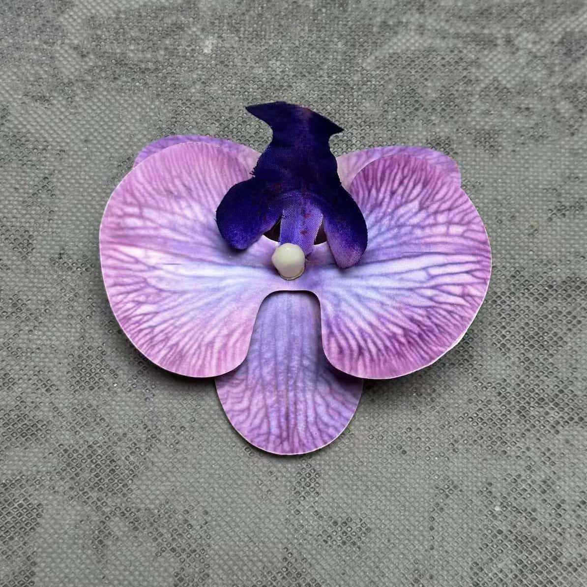 Película 3D de gran tamaño 11,5 CM-Zilan