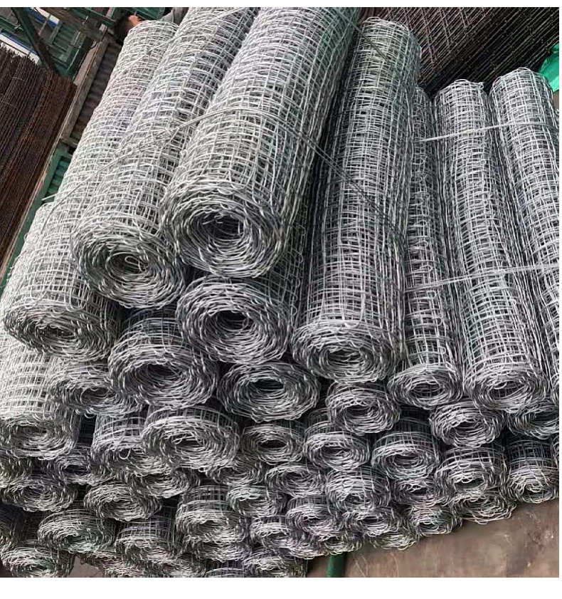 O1CN015XSxP41N2XqkgF5Ei_!!4023