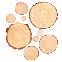 Raw wood slices, annual rings, DIY wood slices, round wood pieces, decorative background wall, small round solid wood pieces, craft material, handmade painting