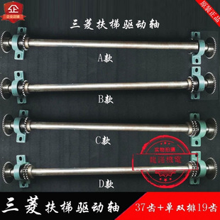 �������S37�X19�X���p�����S�Ԅ����е������S�m����������