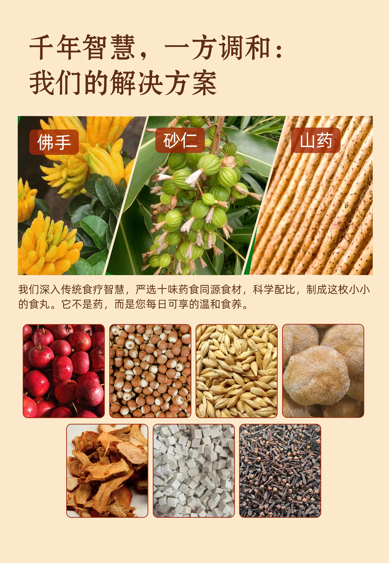 Foshou Sharen Herbal Wellness Pills 60g Bottle Traditional Digestive Support Honey Water Pills quality and texture