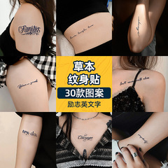 Herbal juice tattoo stickers for women semi-permanent disposable waterproof clavicle English letter small picture tattoo sticker template