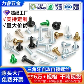 螺钉;螺母;垫圈