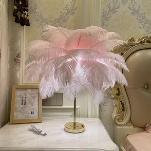 Rechargeable Ostrich Feather Table Lamp Bedroom Bedside Lamp Creative Scandinavian Light Luxury Romantic Night Light Warm Decorative Table Lamp