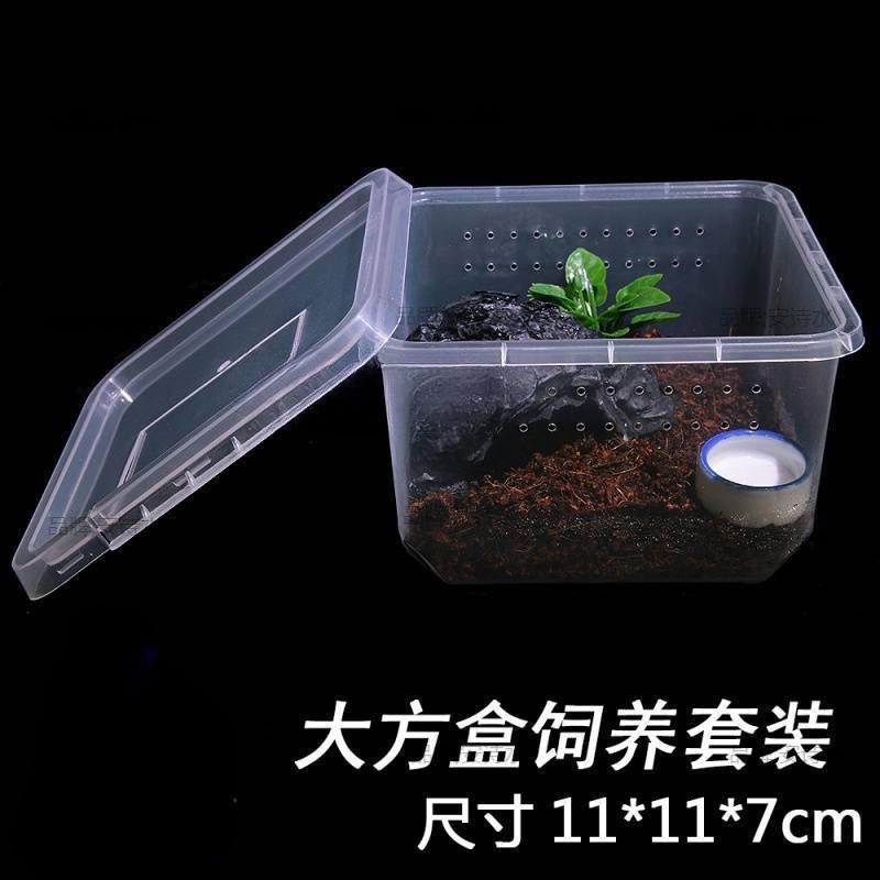 专业爬宠饲养盒爬虫人渣盒大中小号树栖盒小方盒蜘蛛双开防越狱|undefined