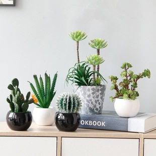 �����҃�����ٻ�����Gֲ�b[���ҾӲ��ֲ�������������辰